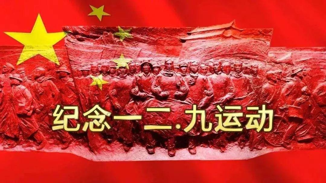 海贼王伟大冒险2